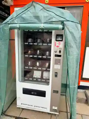 御嶽神社の{uncategorized: "未分類", other: "その他", undefined: "問題あり", building: "その他建物", grave: "お墓", sacred_gate: "鳥居", guardian: "狛犬", statue: "像", buddha: "仏像", history: "歴史", nature: "自然", garden: "庭園", animal: "動物", pagoda: "塔", temizu: "手水舎", mountain_gate: "山門・神門", sanctuary: "本殿・本堂", subordinate: "末社・摂社", art: "芸術", scenery: "景色", jizo: "地蔵", ema: "絵馬", goshuin: "御朱印", omikuji: "おみくじ", items: "授与品その他", amulet: "お守り", goshuincho: "御朱印帳", eats: "食事", festival: "お祭り", votive_dance: "神楽", shichigosan: "七五三参", wedding: "結婚式", experience: "体験その他", initially: "初詣", around: "周辺", anti_infection: "感染症対策"}