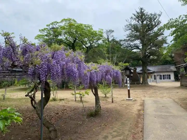 鎌数伊勢大神宮の{uncategorized: "未分類", other: "その他", undefined: "問題あり", building: "その他建物", grave: "お墓", sacred_gate: "鳥居", guardian: "狛犬", statue: "像", buddha: "仏像", history: "歴史", nature: "自然", garden: "庭園", animal: "動物", pagoda: "塔", temizu: "手水舎", mountain_gate: "山門・神門", sanctuary: "本殿・本堂", subordinate: "末社・摂社", art: "芸術", scenery: "景色", jizo: "地蔵", ema: "絵馬", goshuin: "御朱印", omikuji: "おみくじ", items: "授与品その他", amulet: "お守り", goshuincho: "御朱印帳", eats: "食事", festival: "お祭り", votive_dance: "神楽", shichigosan: "七五三参", wedding: "結婚式", experience: "体験その他", initially: "初詣", around: "周辺", anti_infection: "感染症対策"}