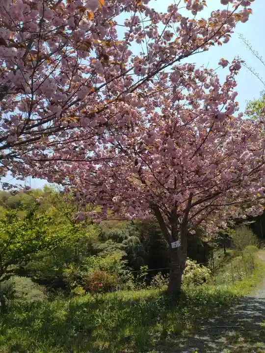 妙立寺(宮城県)