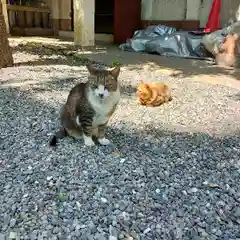 小野照崎神社の動物