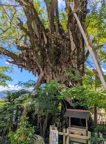 葛城一言主神社(奈良県)