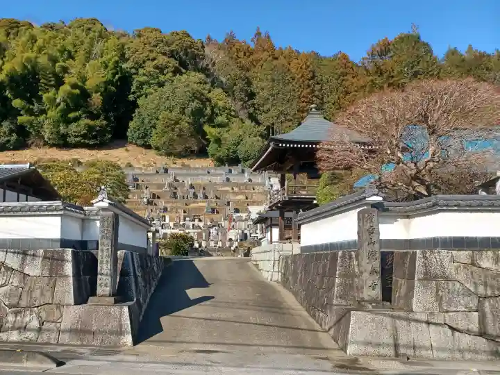 瀧泉寺の{uncategorized: "未分類", other: "その他", undefined: "問題あり", building: "その他建物", grave: "お墓", sacred_gate: "鳥居", guardian: "狛犬", statue: "像", buddha: "仏像", history: "歴史", nature: "自然", garden: "庭園", animal: "動物", pagoda: "塔", temizu: "手水舎", mountain_gate: "山門・神門", sanctuary: "本殿・本堂", subordinate: "末社・摂社", art: "芸術", scenery: "景色", jizo: "地蔵", ema: "絵馬", goshuin: "御朱印", omikuji: "おみくじ", items: "授与品その他", amulet: "お守り", goshuincho: "御朱印帳", eats: "食事", festival: "お祭り", votive_dance: "神楽", shichigosan: "七五三参", wedding: "結婚式", experience: "体験その他", initially: "初詣", around: "周辺", anti_infection: "感染症対策"}