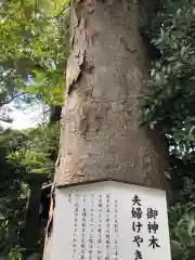 阿佐ヶ谷神明宮の建物その他