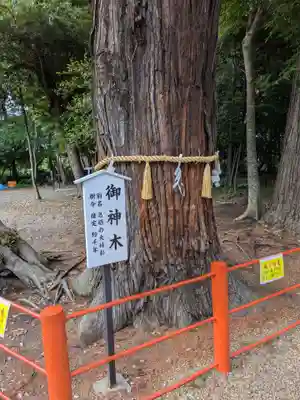 息栖神社(茨城県)