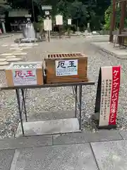 櫻木神社(千葉県)