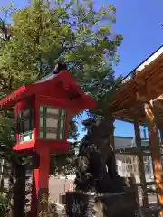 発寒神社の狛犬