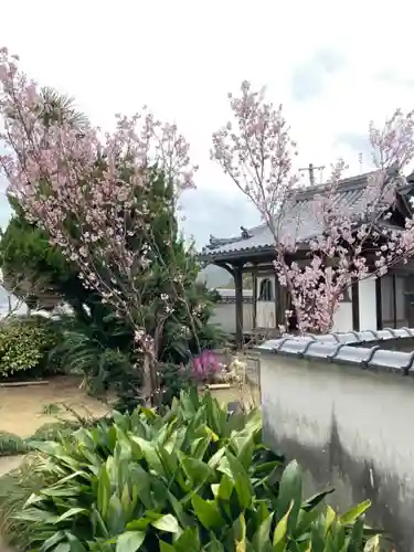 浄運寺のその他建物