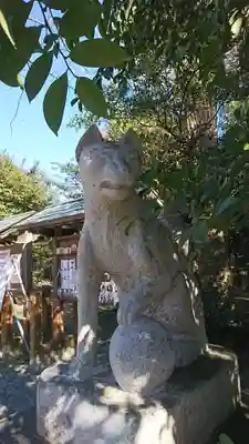 三軒地稲荷神社の狛犬