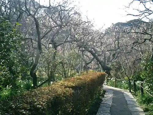 瑞泉寺の庭園