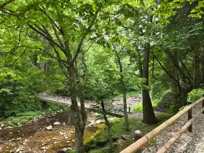白山中居神社(岐阜県)