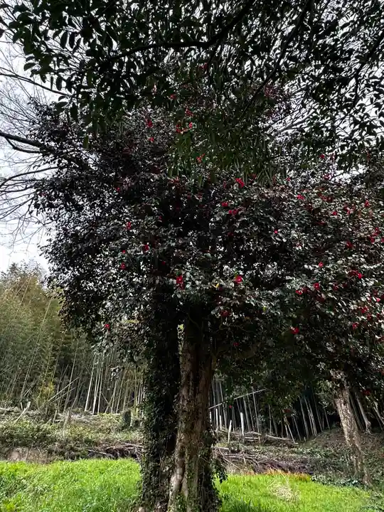 揖夜神社(島根県)