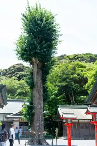 宗像大社中津宮(福岡県)