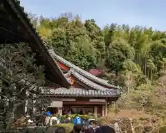 華厳寺（鈴虫寺）(京都府)