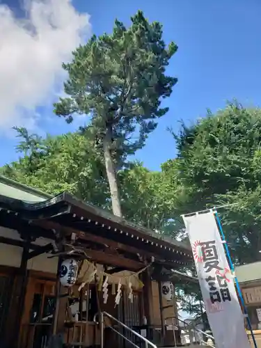 下高井戸八幡神社の本殿・本堂