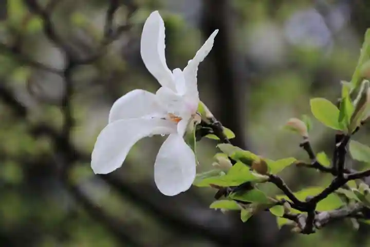 豊景神社の自然