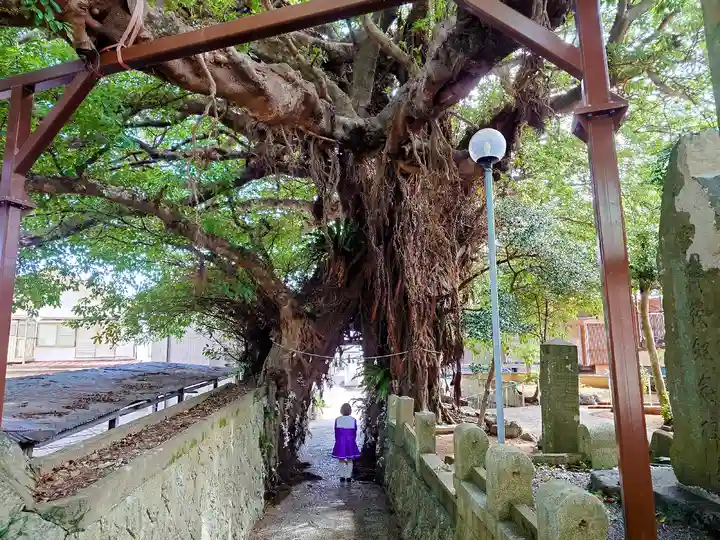 奈良尾神社の自然