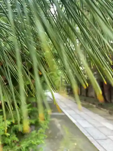 建仁寺（建仁禅寺）(京都府)