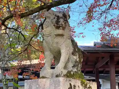 松尾大社の狛犬