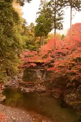 西明寺(京都府)