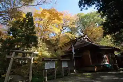 隠津島神社の本殿・本堂