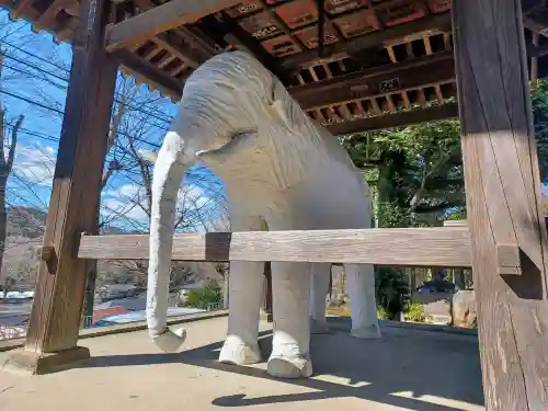 観音寺(埼玉県)