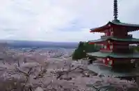 新倉富士浅間神社の景色
