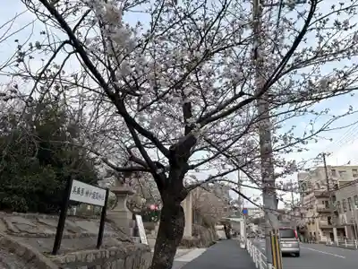 兵庫縣神戸護國神社(兵庫県)