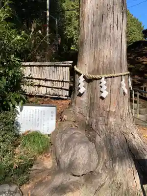 神場山神社(静岡県)