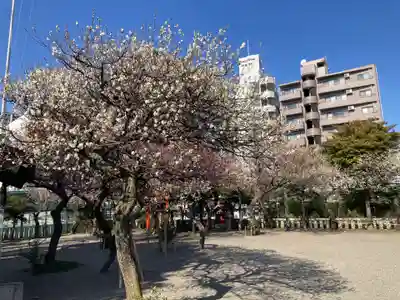 町田天満宮(東京都)