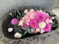 手稲神社(北海道)