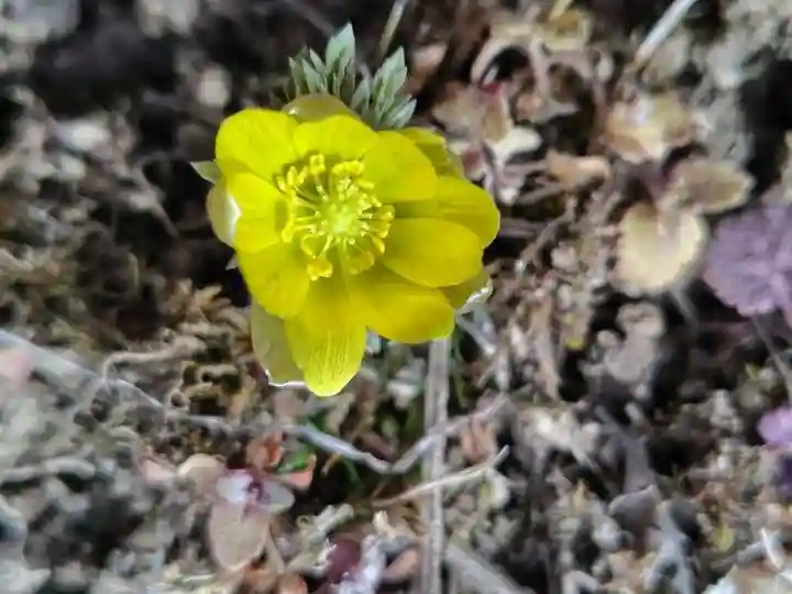 関場神社(福島県)