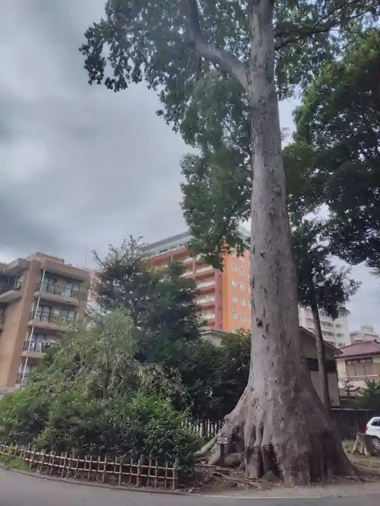 大國魂神社(東京都)