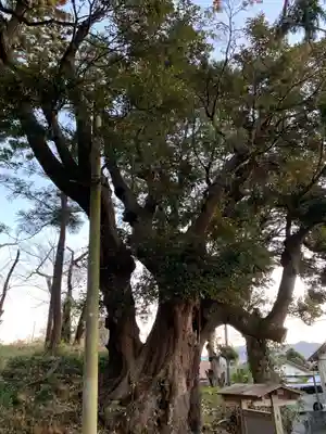諏訪神社(千葉県)