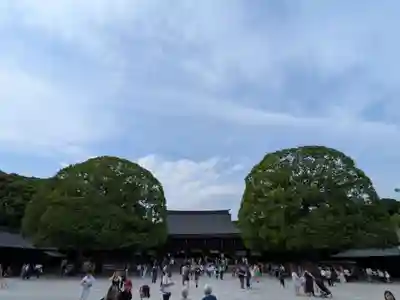 明治神宮(東京都)