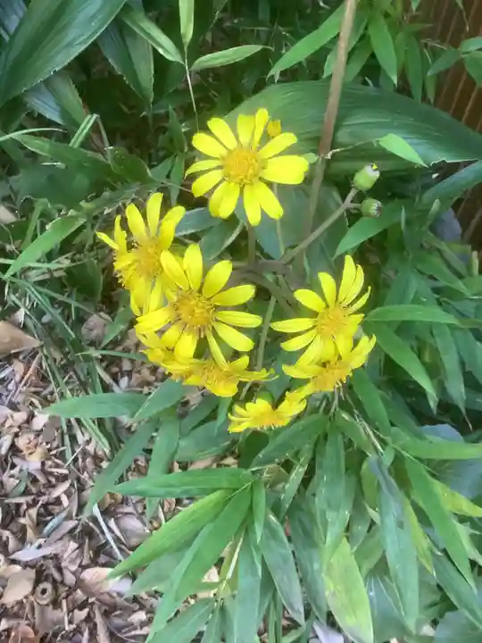 富部神社(愛知県)