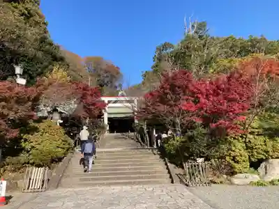 鎌倉宮(神奈川県)