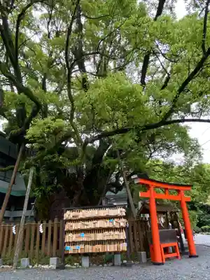 富知六所浅間神社(静岡県)