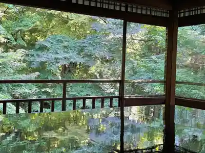 光明寺瑠璃光院(京都府)