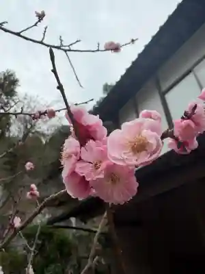 慈眼寺の{uncategorized: "未分類", other: "その他", undefined: "問題あり", building: "その他建物", grave: "お墓", sacred_gate: "鳥居", guardian: "狛犬", statue: "像", buddha: "仏像", history: "歴史", nature: "自然", garden: "庭園", animal: "動物", pagoda: "塔", temizu: "手水舎", mountain_gate: "山門・神門", sanctuary: "本殿・本堂", subordinate: "末社・摂社", art: "芸術", scenery: "景色", jizo: "地蔵", ema: "絵馬", goshuin: "御朱印", omikuji: "おみくじ", items: "授与品その他", amulet: "お守り", goshuincho: "御朱印帳", eats: "食事", festival: "お祭り", votive_dance: "神楽", shichigosan: "七五三参", wedding: "結婚式", experience: "体験その他", initially: "初詣", around: "周辺", anti_infection: "感染症対策"}