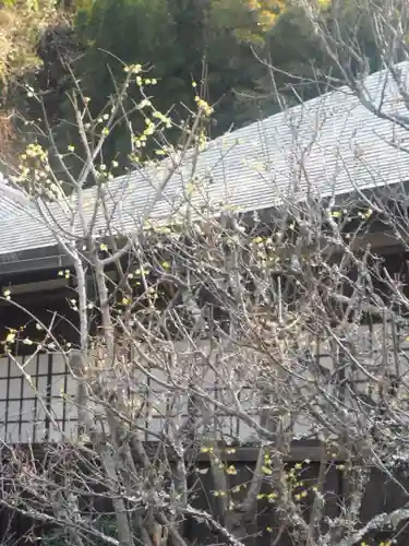 瑞泉寺のその他建物