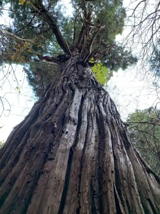 志和稲荷神社の自然