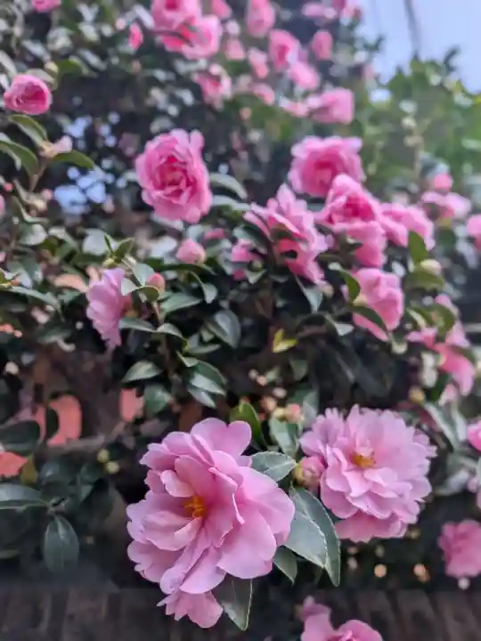 穏田神社(東京都)