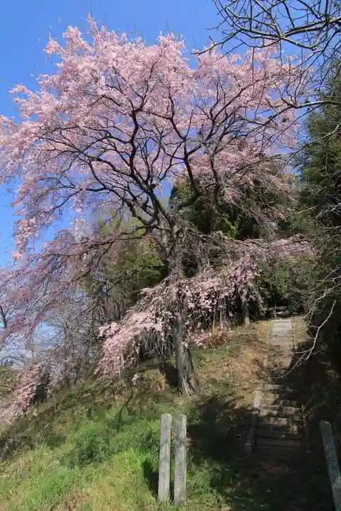 熊野神社の自然