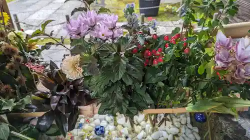 勝林寺(京都府)