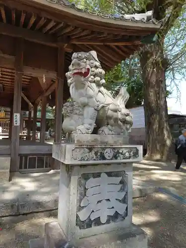 挙母神社の狛犬