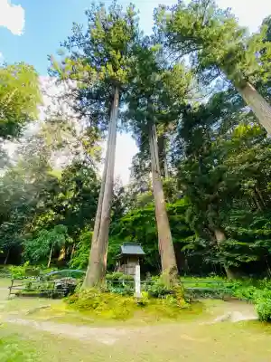 粟鹿神社の{uncategorized: "未分類", other: "その他", undefined: "問題あり", building: "その他建物", grave: "お墓", sacred_gate: "鳥居", guardian: "狛犬", statue: "像", buddha: "仏像", history: "歴史", nature: "自然", garden: "庭園", animal: "動物", pagoda: "塔", temizu: "手水舎", mountain_gate: "山門・神門", sanctuary: "本殿・本堂", subordinate: "末社・摂社", art: "芸術", scenery: "景色", jizo: "地蔵", ema: "絵馬", goshuin: "御朱印", omikuji: "おみくじ", items: "授与品その他", amulet: "お守り", goshuincho: "御朱印帳", eats: "食事", festival: "お祭り", votive_dance: "神楽", shichigosan: "七五三参", wedding: "結婚式", experience: "体験その他", initially: "初詣", around: "周辺", anti_infection: "感染症対策"}