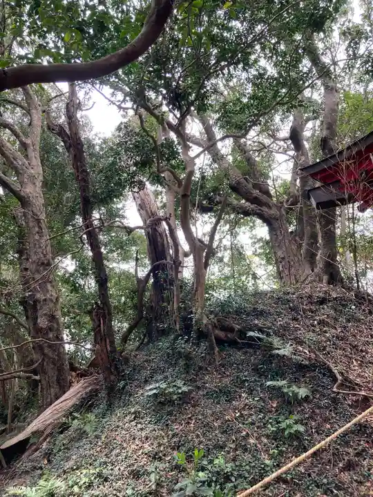 小山稲荷神社の周辺