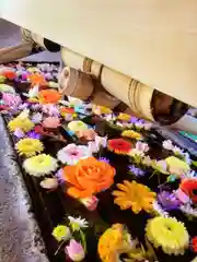 鳩森八幡神社(東京都)