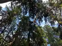 大宮温泉神社(栃木県)