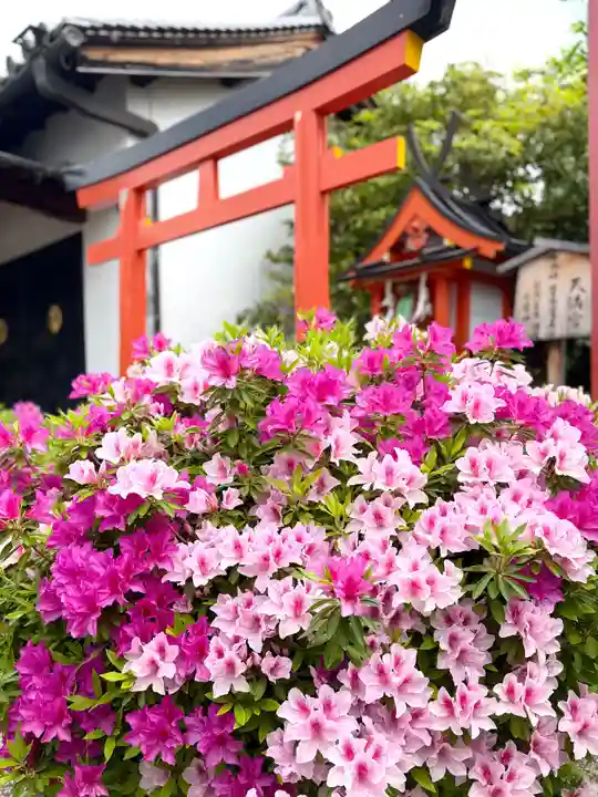 崇道天皇社(奈良県)